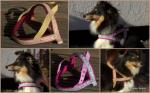 Mira-Dog-Accessoires_and_more-2011.jpg